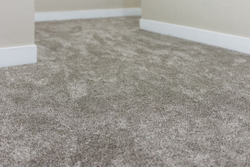 Clean Carpet Installation