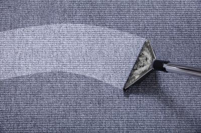 Expert Advice on Carpet Care